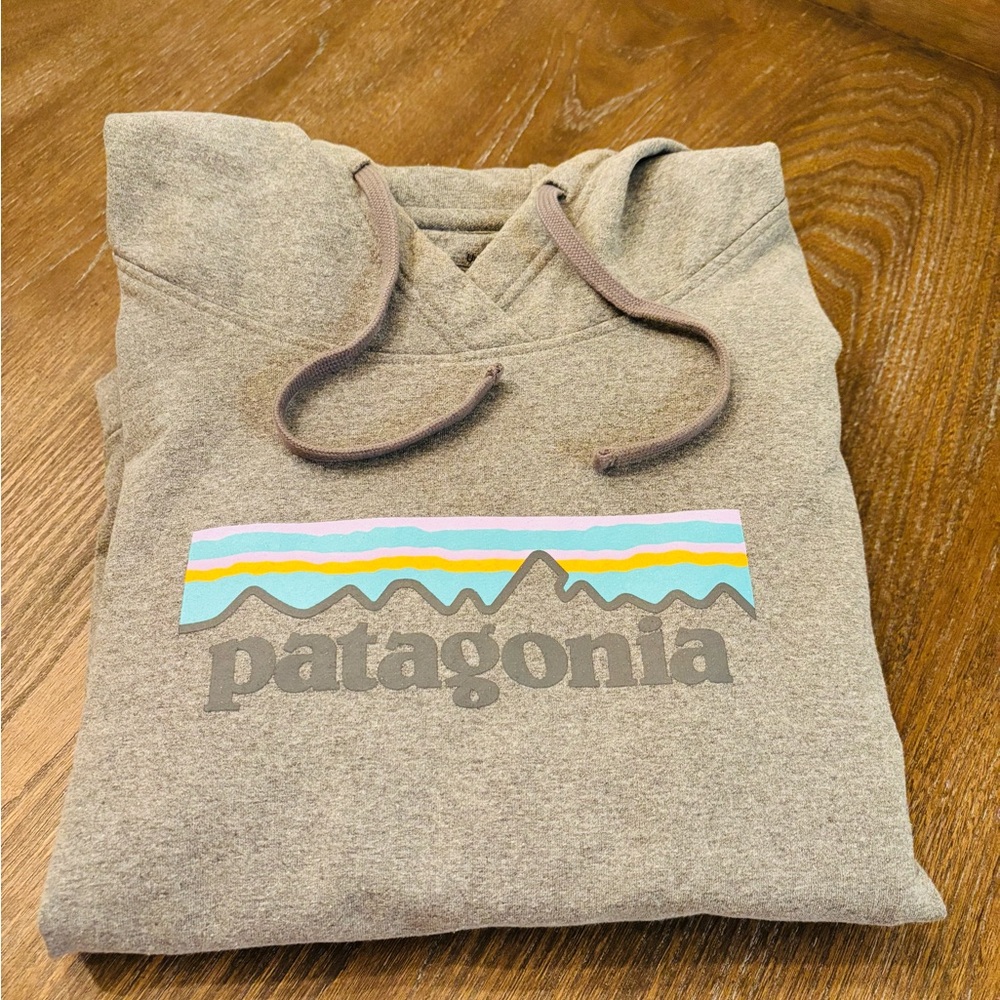 Patagonia Sweatshirt - Medium